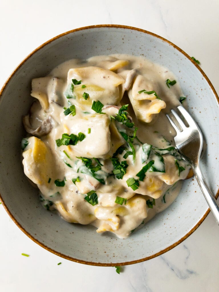 tortellini Alfredo garnished with chopped parsley in a bowl with a fork