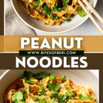 spicy peanut noodles garnished with green onion slices and chopped cilantro in a bowl with chopsticks