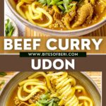 beef curry udon in a bowl garnished with green onion and chopstticks