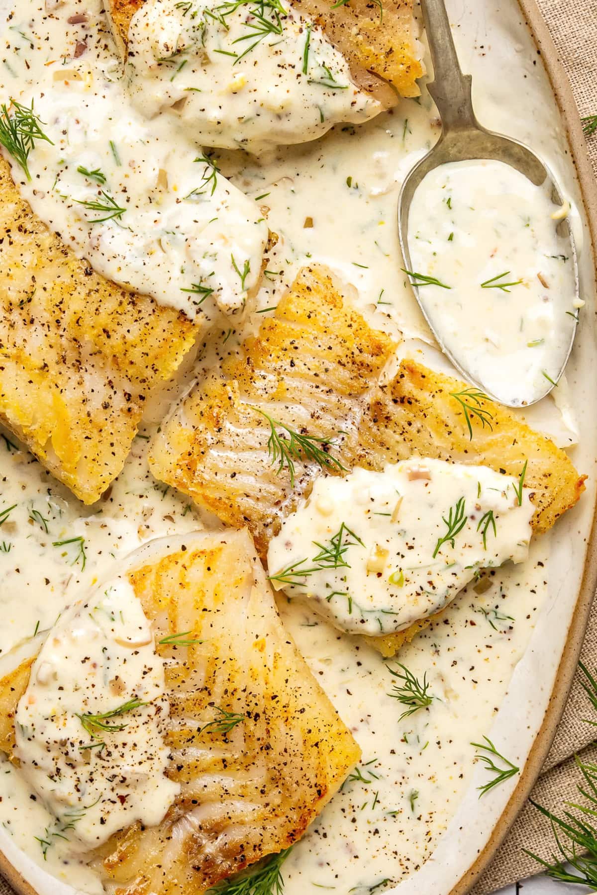 pan seared cod fillets with lemon dill cream sauce on an oval shaped plate